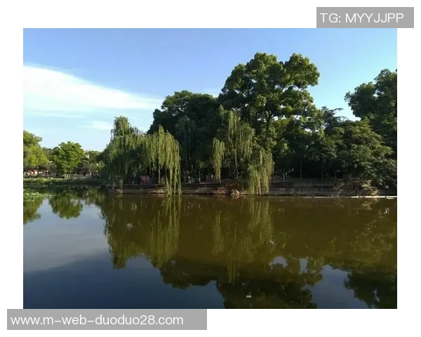 谢什科的传奇人生与他在足球界的辉煌成就探秘 谢什科的传奇人生与他在足球界的辉煌成就探秘